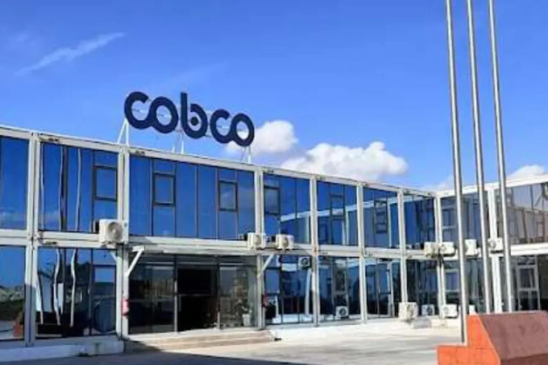 Morocco Powers Up: New Hub for EV Battery Materials